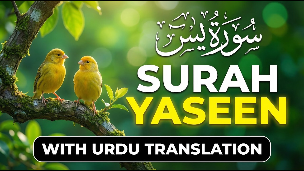 Surah Yaseen Full  Beautiful Quran Recitation  Surah Yasin With Urdu Translation  Heart of the Quran