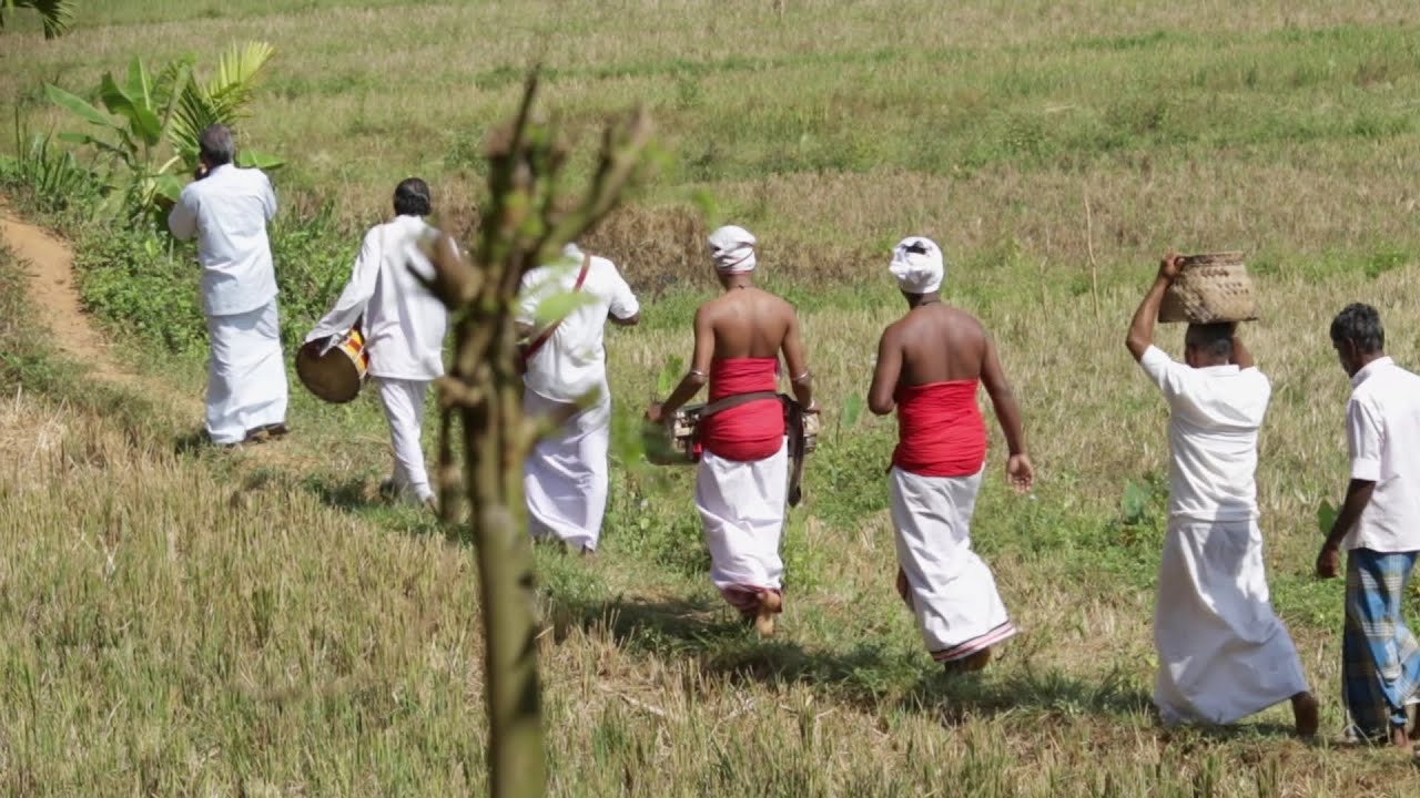 ‘Pol Bulathey Yema’ (පොල් බුලතේ යෑම) –  A Ritualistic Procession ...(කොහොඹා කංකාරිය පුර්ව චාරිත්‍)