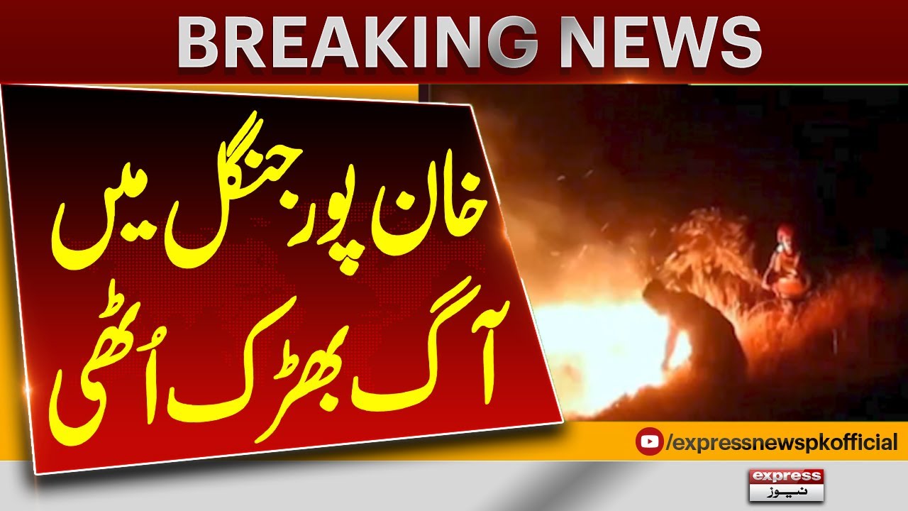 Fire Erupts In Khanpur Jungles | Fire In Pakistan Jungle | Pakistan News | Breaking News