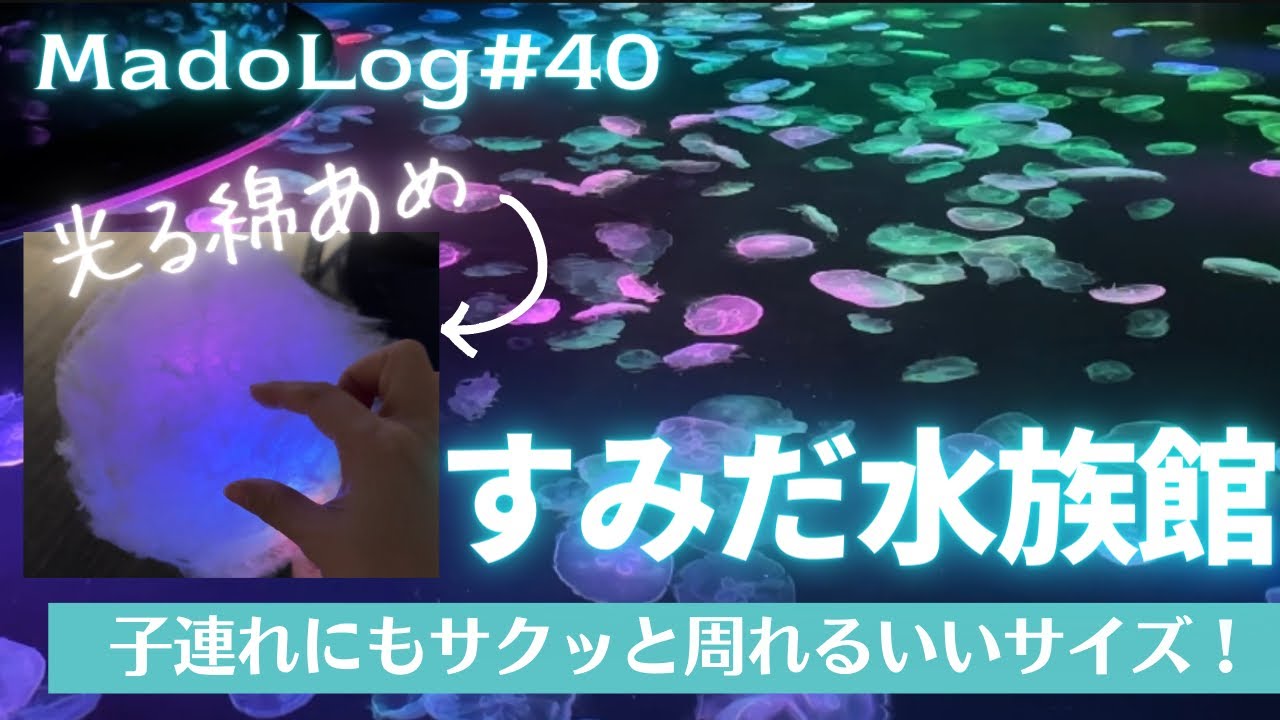 【すみだ水族館】の行き方、周り方。2時間あれば余裕で周れて、子連れにもオススメ♪【MadoLog#40】