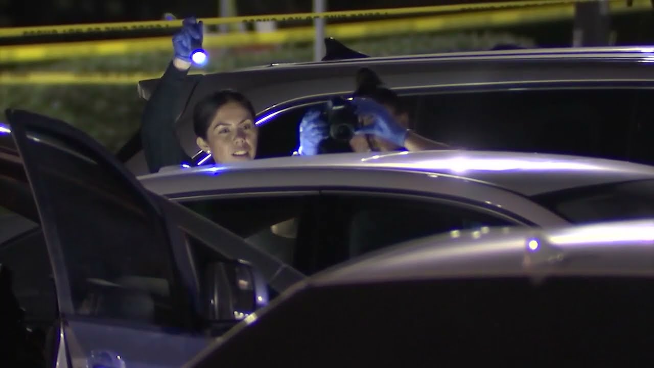 Milpitas Police arrest suspect in shopping center shootout