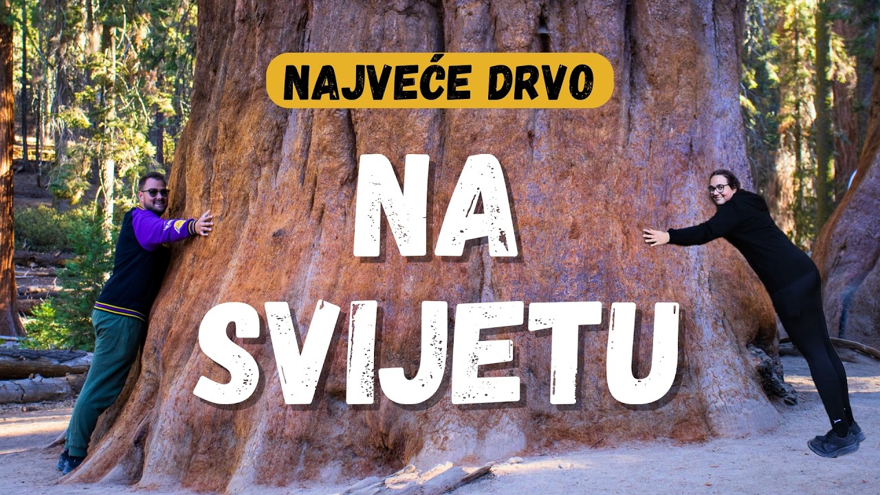 Posjetili smo NAJVEĆE drvo na svijetu 😱 | Sequoia National Park
