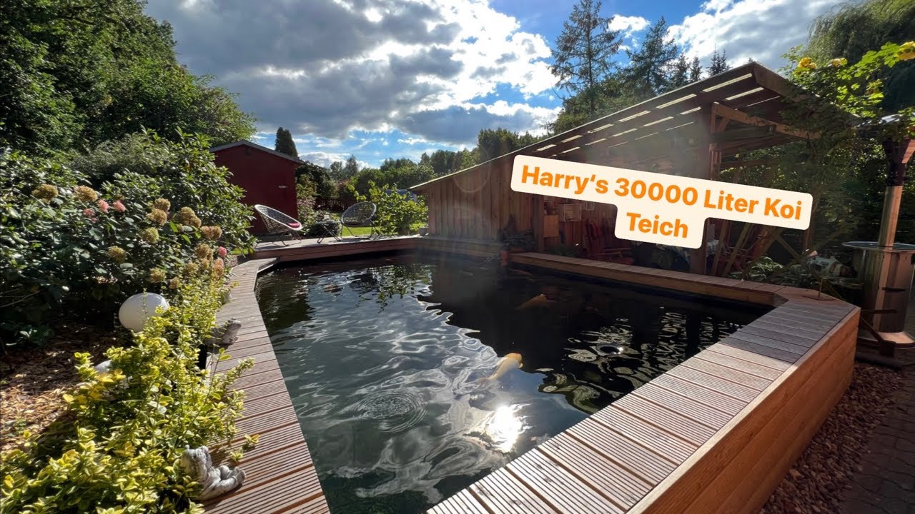 Harry’s gepumpter 30000 Liter Teich mit perfektem Wasser! Besser geht‘s nicht!