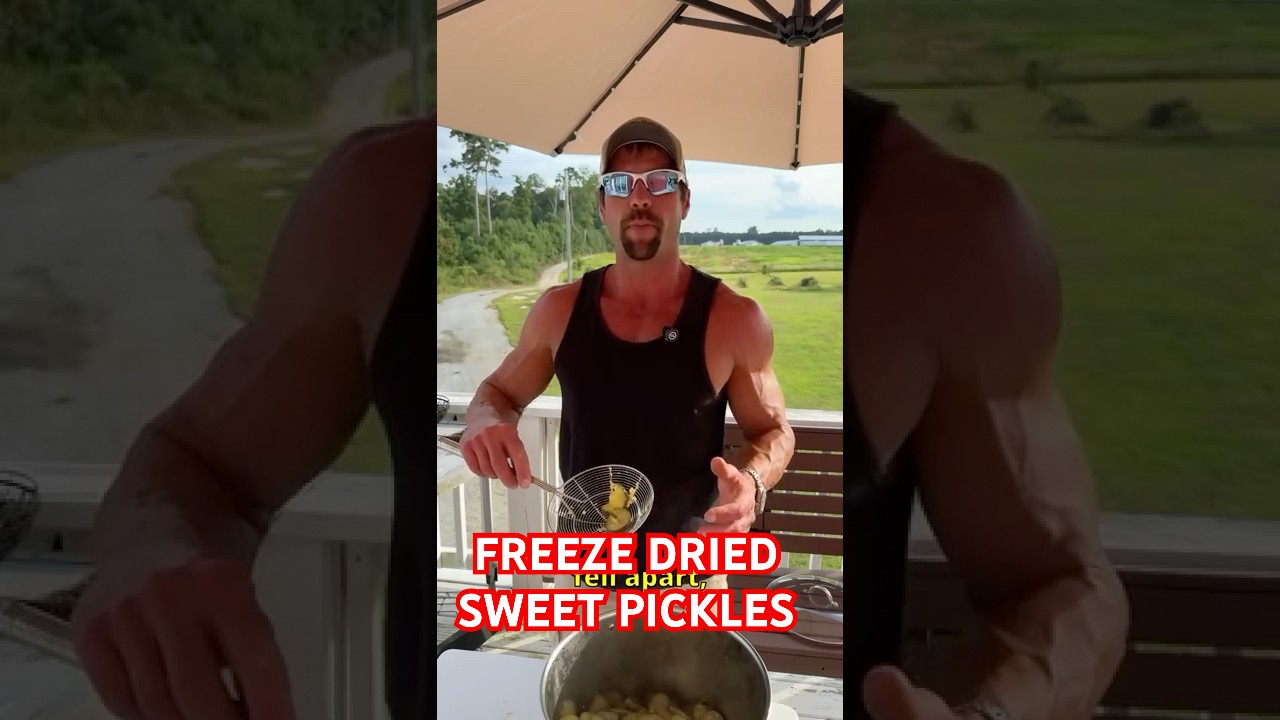 FREEZE DRIED Sweet Pickles!