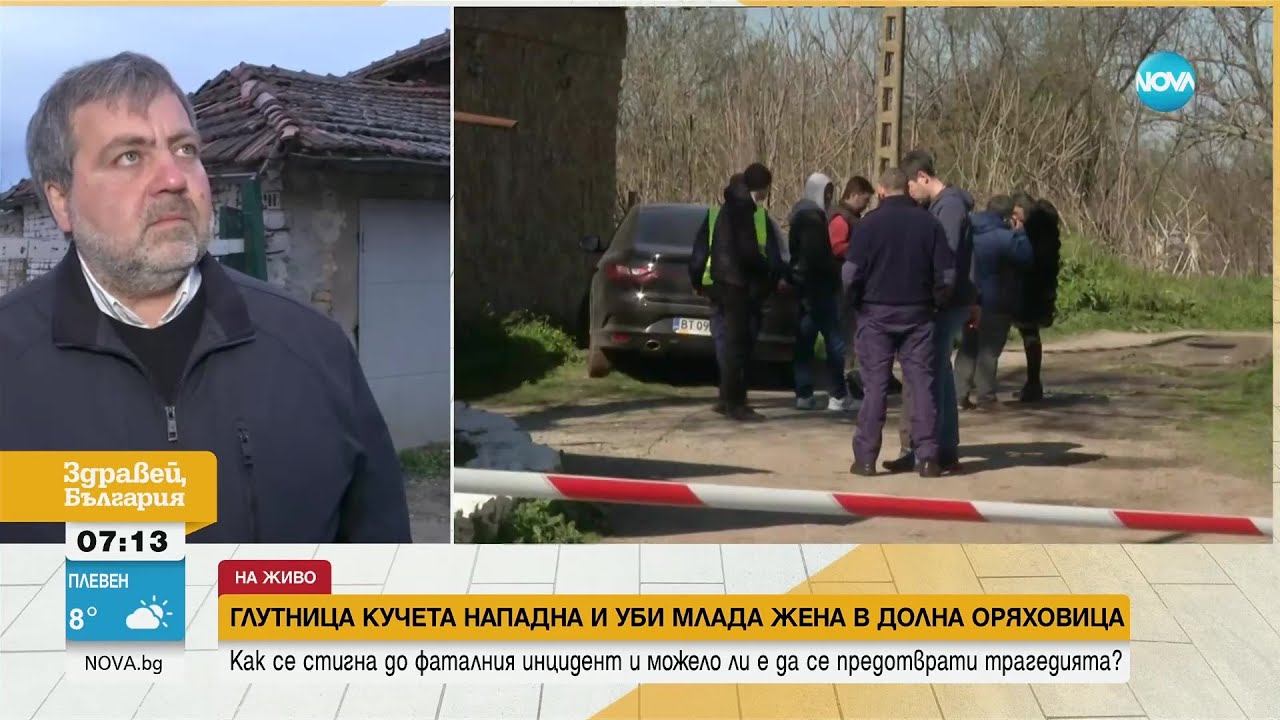 Кметът на Долна Оряховица след трагедията: Нямаме правомощия да се справим с проблемните кучета
