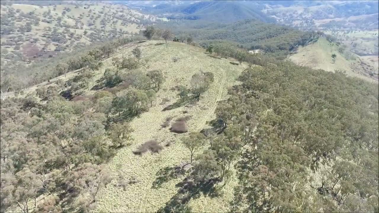 Masters Stephens Bathurst presents 