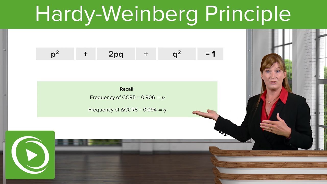 Hardy-Weinberg Principle and Assumptions – Genetics | Lecturio