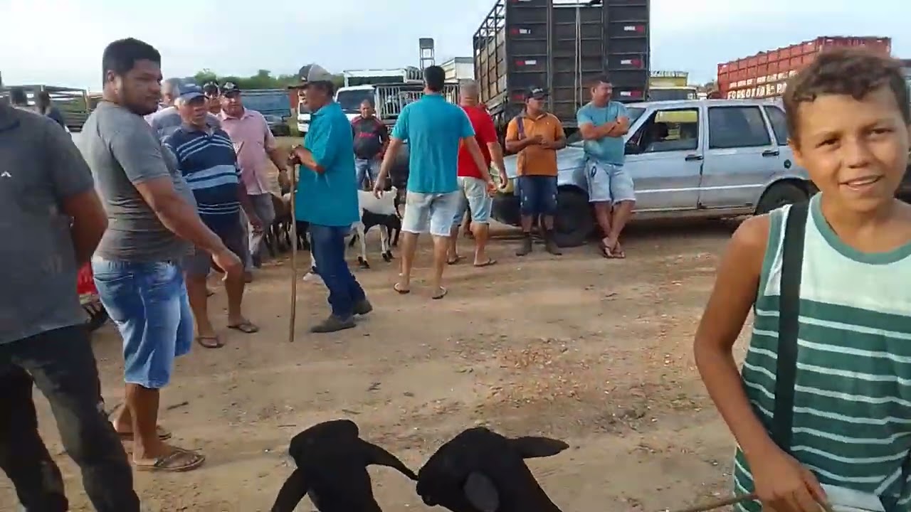 Feira do gado de Guarabira PB. 19/02/26 🌵🤠