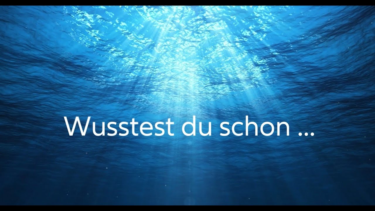Wusstest du schon, dass es mehrere schwimmende Inseln aus Plastik im Meer gibt?