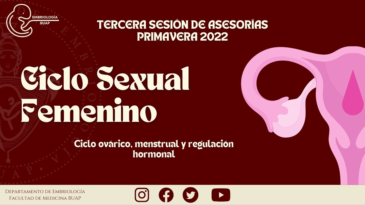 Ciclo Sexual Femenino I Laboratorio de Embriología BUAP