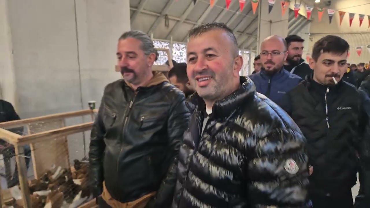 Çorlu güvercin festivalindeyiz:)