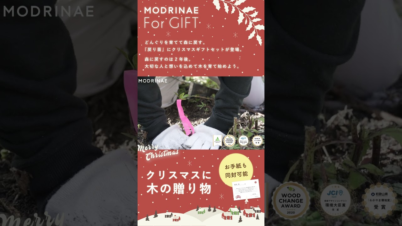 戻り苗のクリスマスギフトがスタートしました！ #shorts