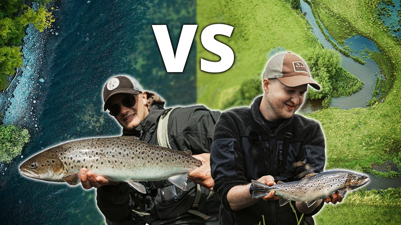 Kyst Vs. Å: Hvor Fanger Vi FLEST Havørreder!?