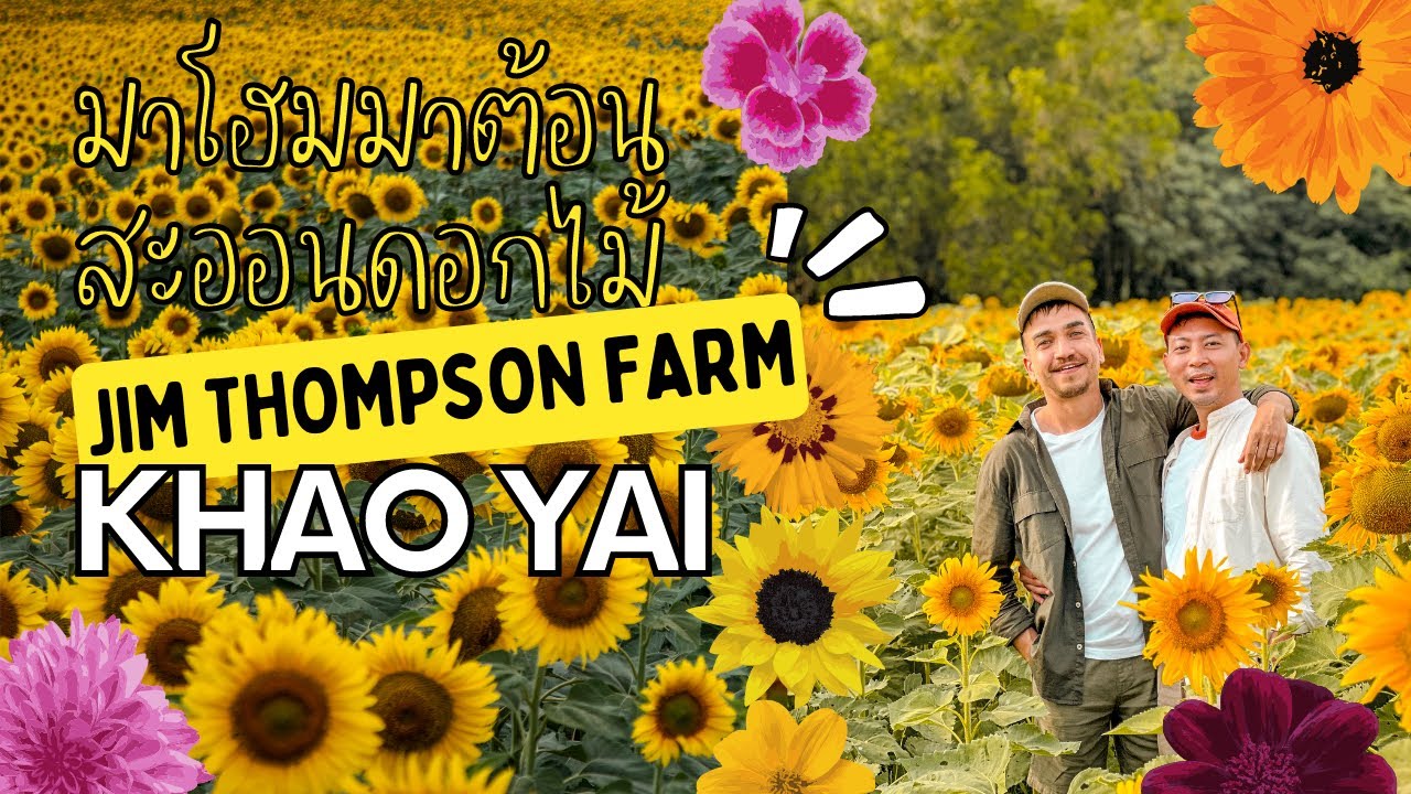 Is Jim Thompson Farm worth visiting? Tour to Thailand floral & sunflowers paradise (December 2022)
