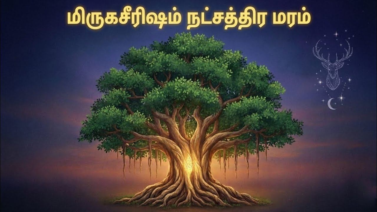 மிருகசீரிஷம் நட்சத்திர மரங்கள் |Mrigashirsha Nakshatra Trees 