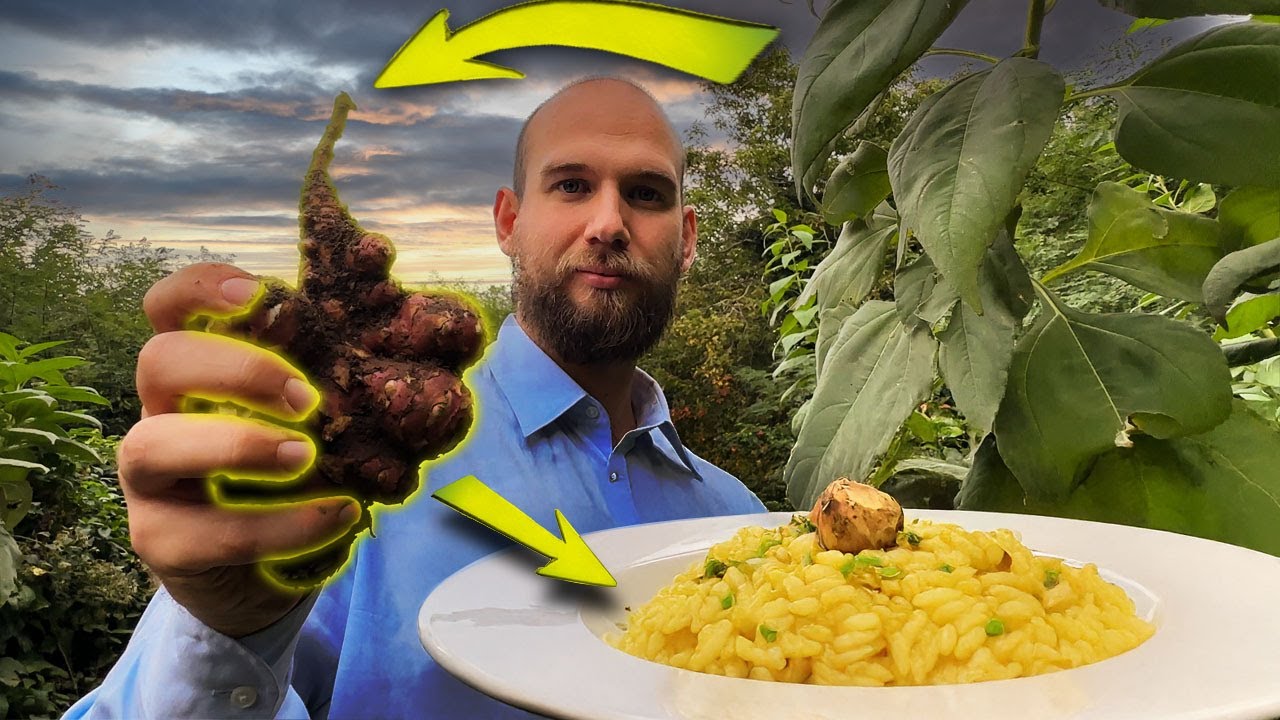 La Scienza del Topinambur: dal Campo al Piatto