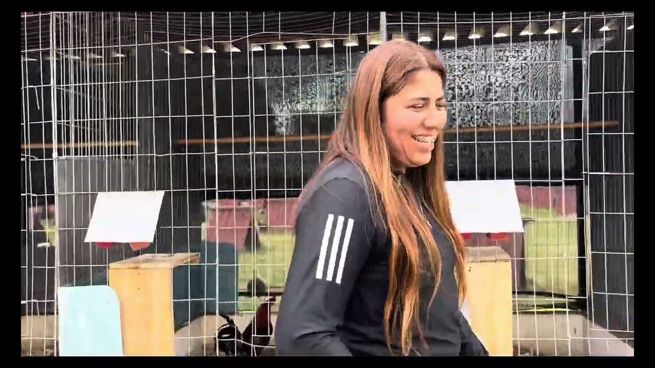 Entrevista con Criadero Quinta Fernanda Mujer en el Ave de Combate Parte1