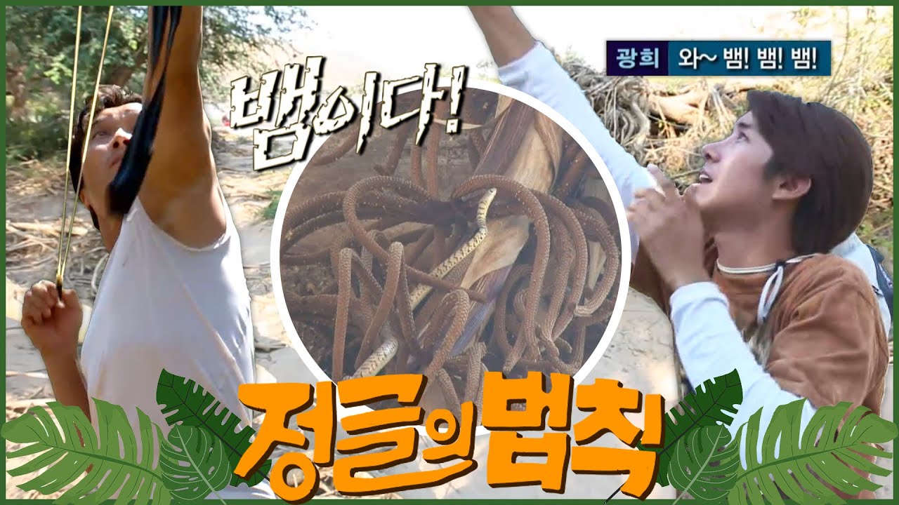 [#정글의법칙] 뱀이다~🐍뱀이다~🐍 먹을 수 있는 뱀인가요? ep.3