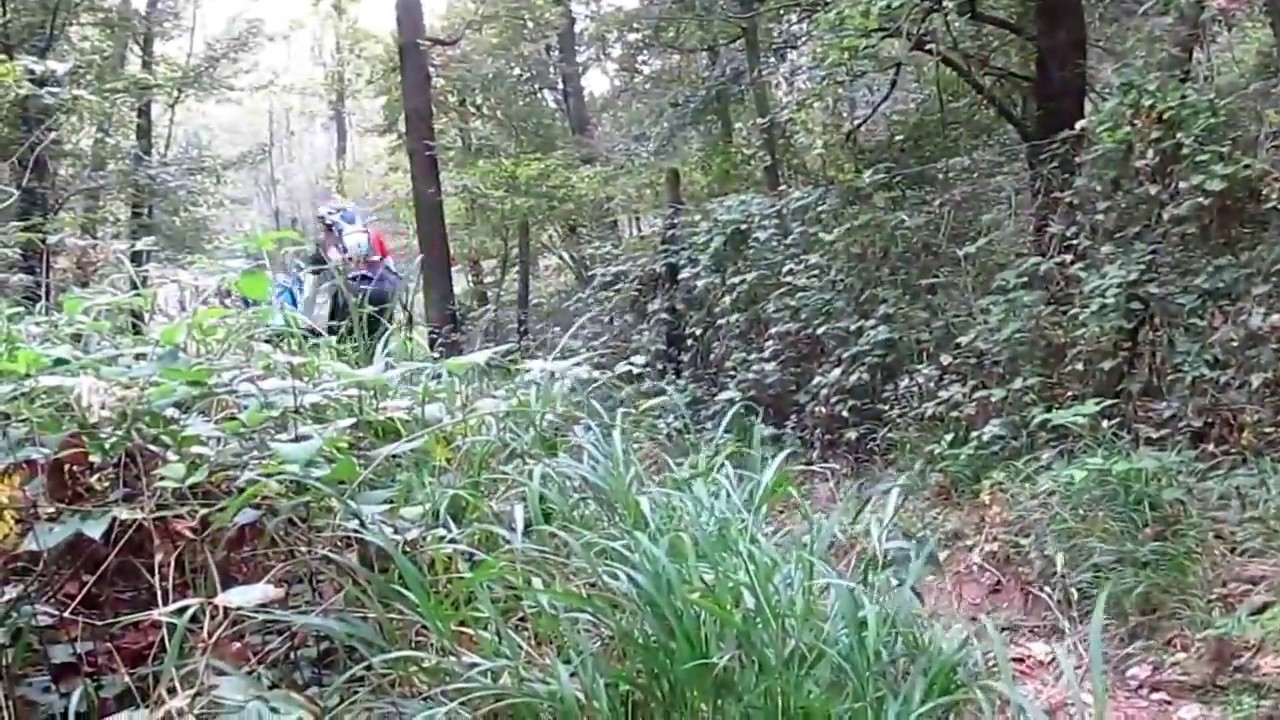 Monte LINZONE in MTB - mountain bike valle Imagna Bergamo