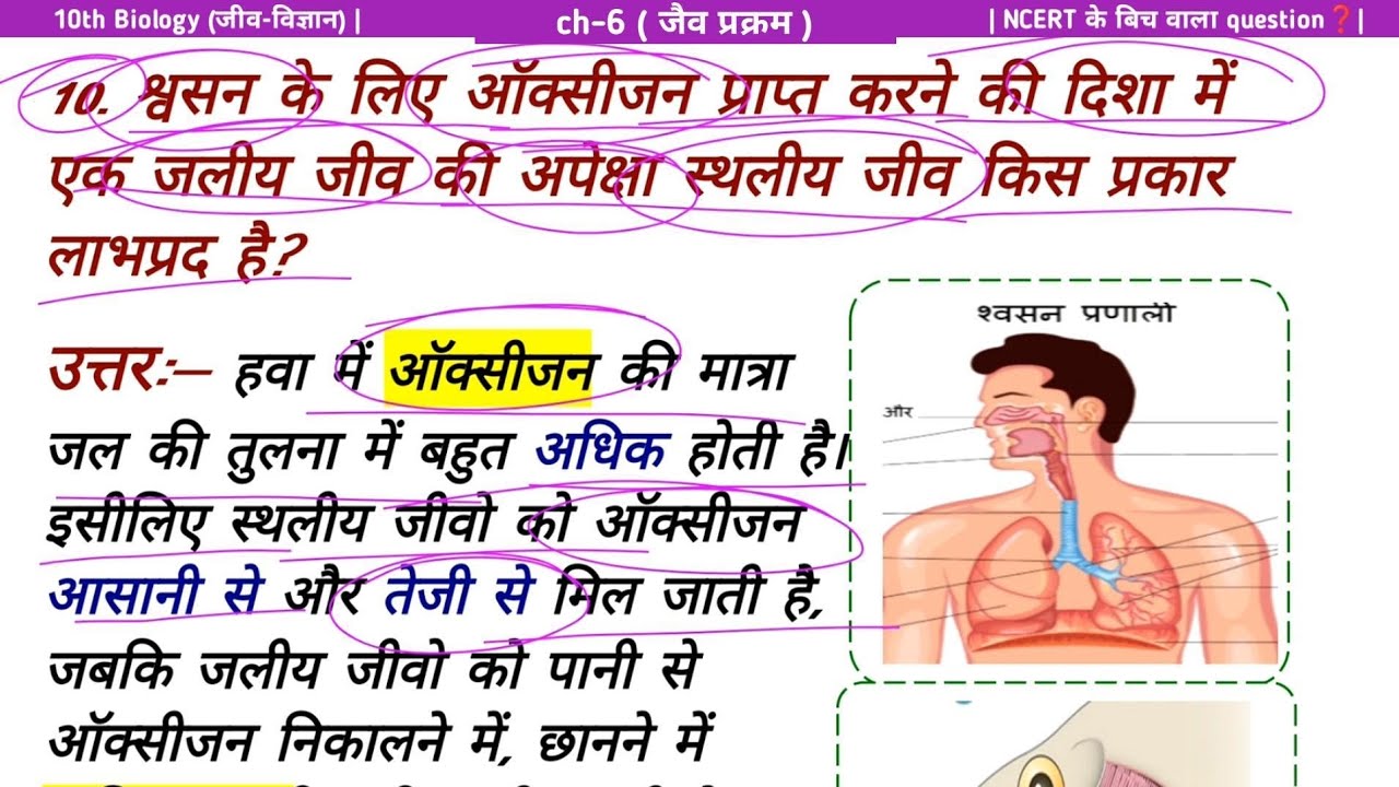 श्वसन के लिए ऑक्सीजन प्राप्त करने की दिशा में एक जलीय जीव की अपेक्षा स्थलीय जीव #biology #class10th