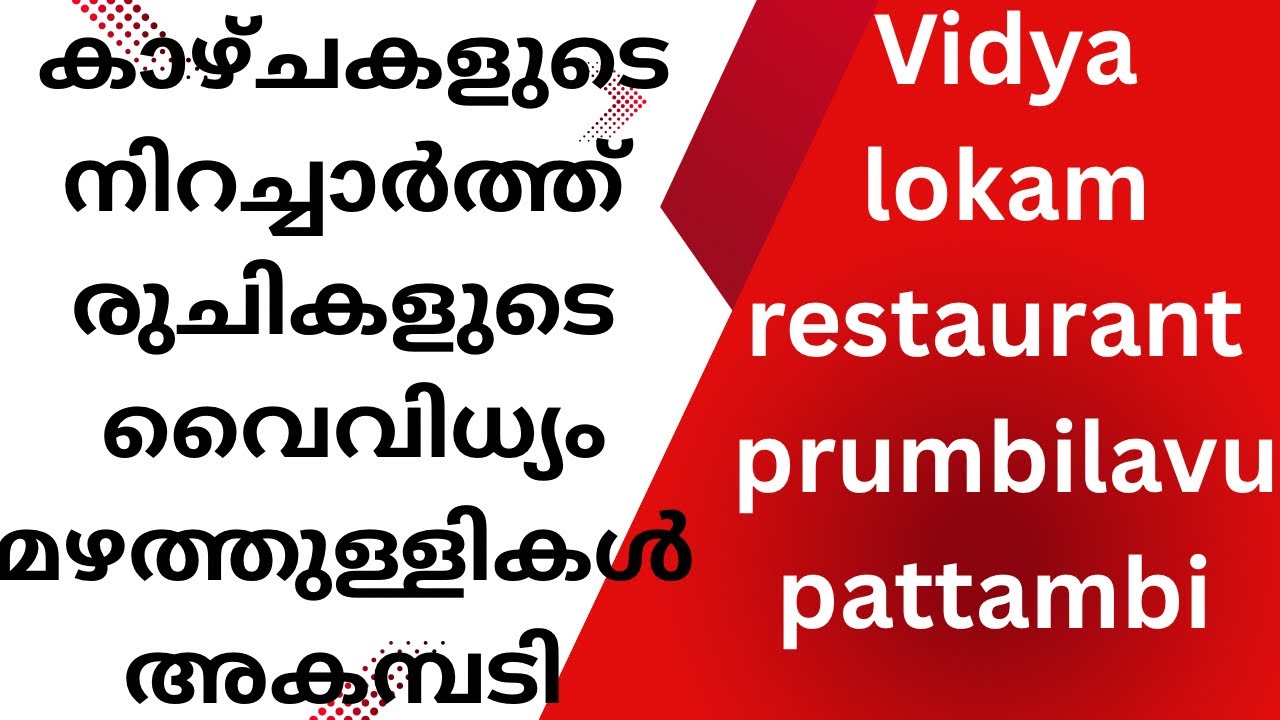 ഇവിടുത്തെ കാഴ്ചകൾ മനോഹരം, രുചികൾ വേറെ ലെവൽ  #vidya lokam restaurant  #perumbilavu #pattambi