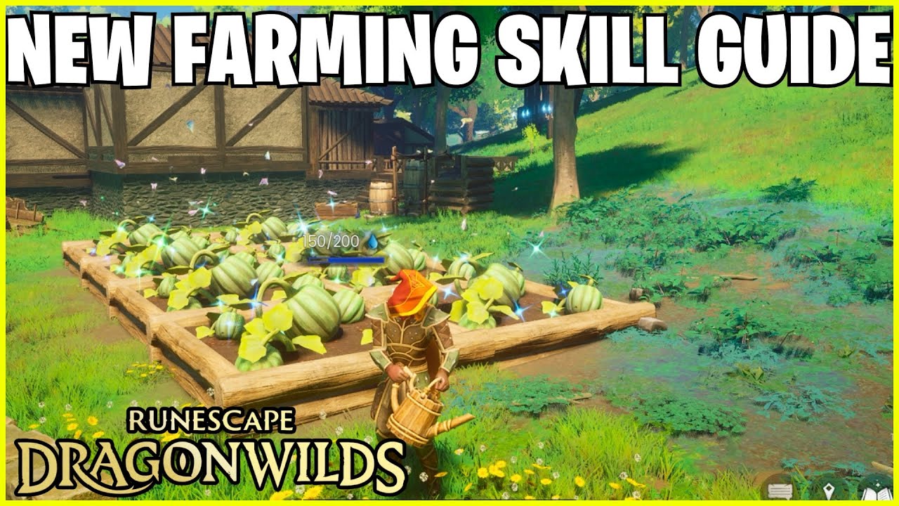 RuneScape Dragon Wilds: Руководство по фарму!