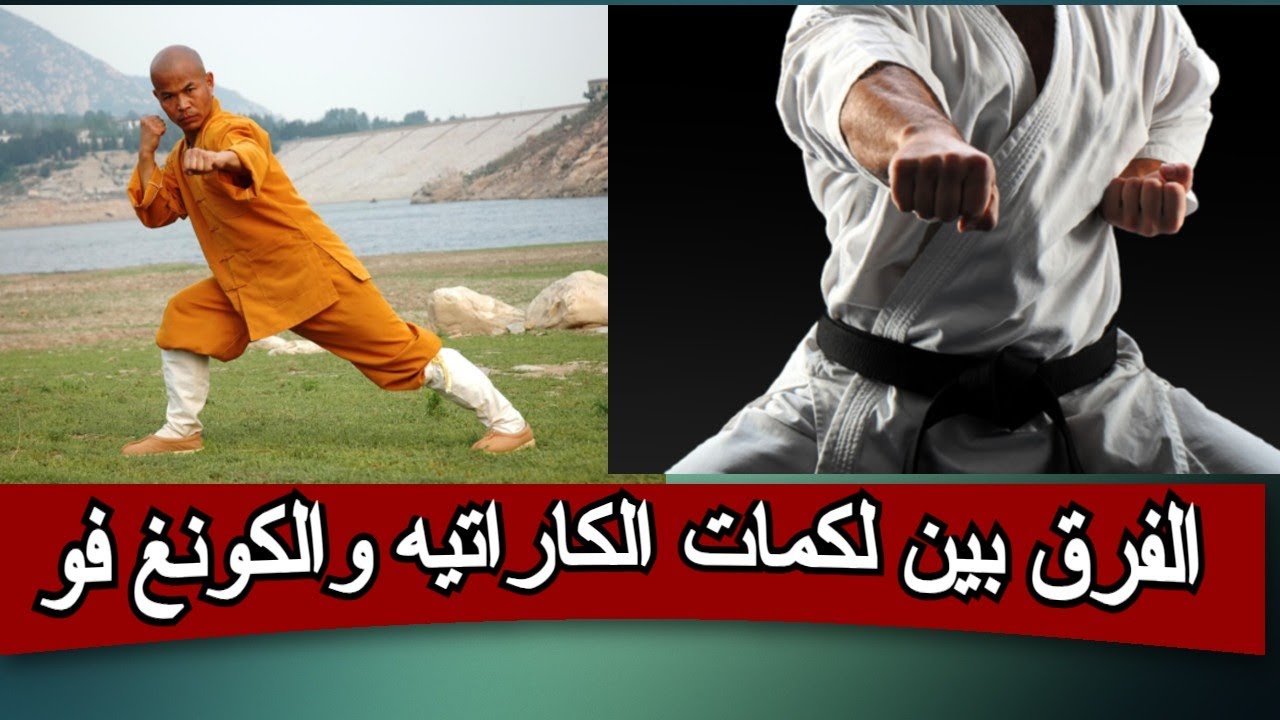 ما هو الفرق بين لكمات الكاراتيه ولكمات الكونغ فو