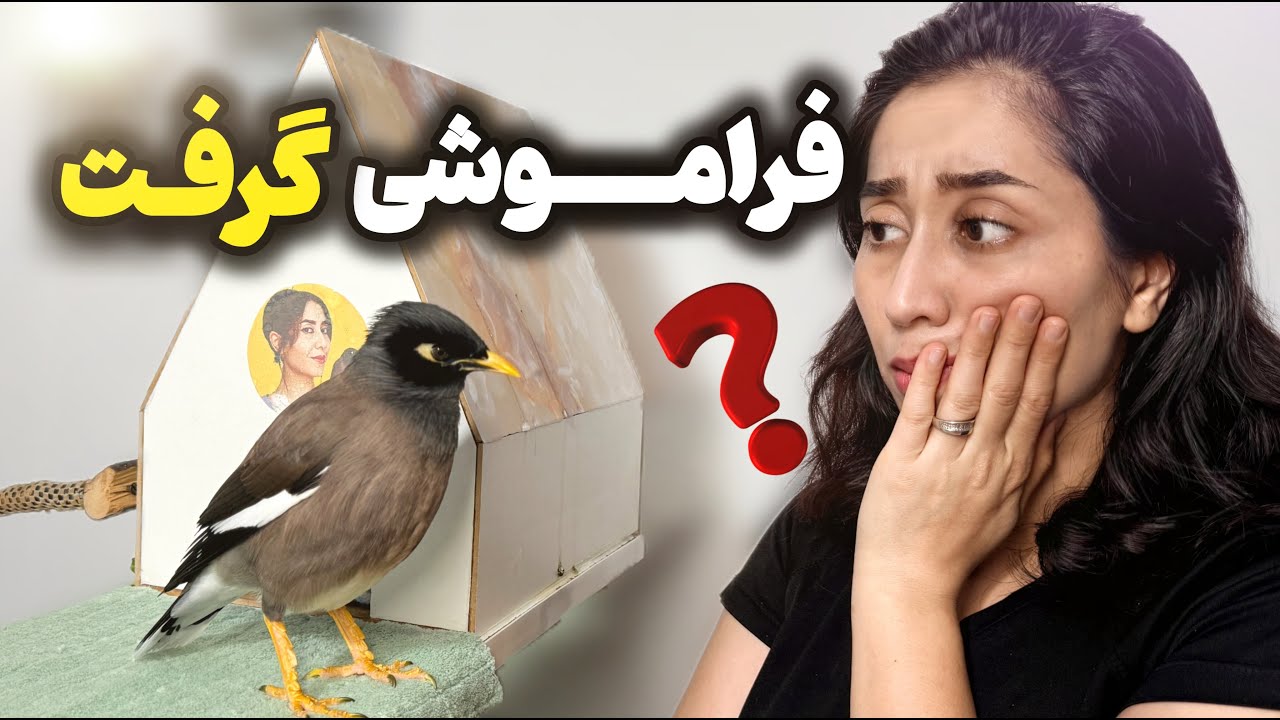 ولاگ ماجراهای مخمل و مامانش: قسمت ۴ / کم کاری کردیم و مخمل فراموشکار شد!