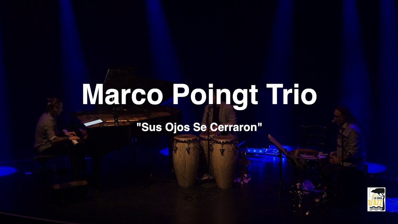 Marco Poingt Trio 