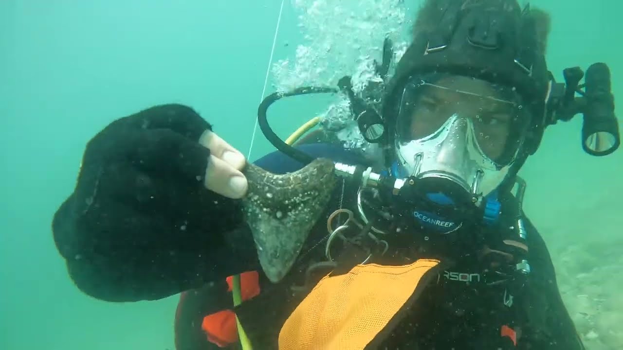 Easter 2022 Megalodon tooth hunt!  Amazing Visibility while scuba diving from the shore!