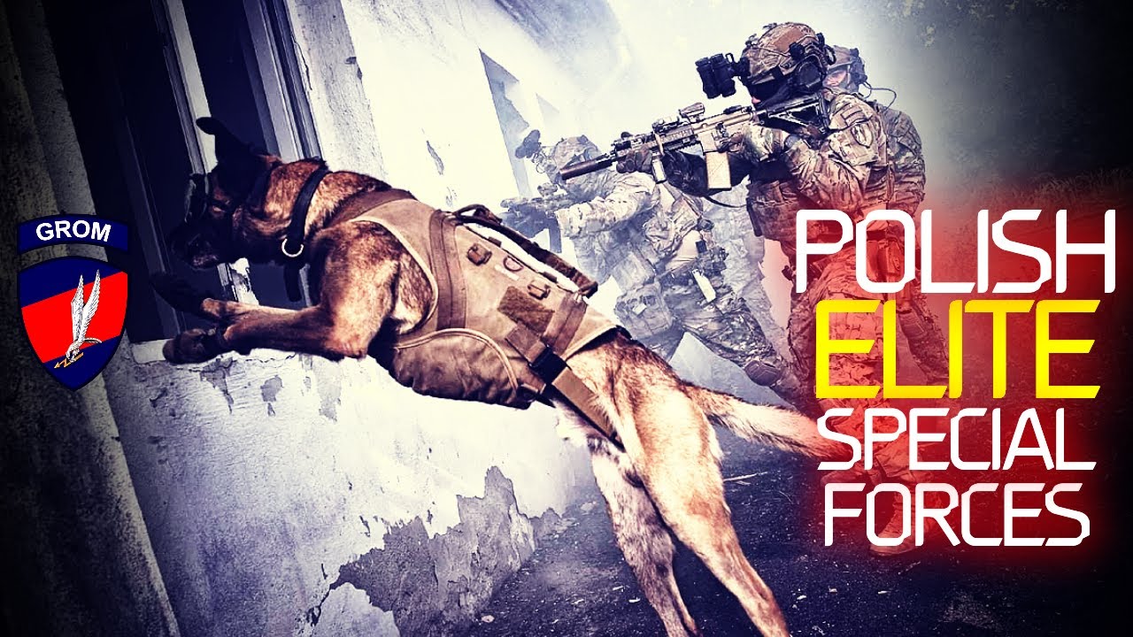 Элитное подразделение специального назначения Польши: JW GROM