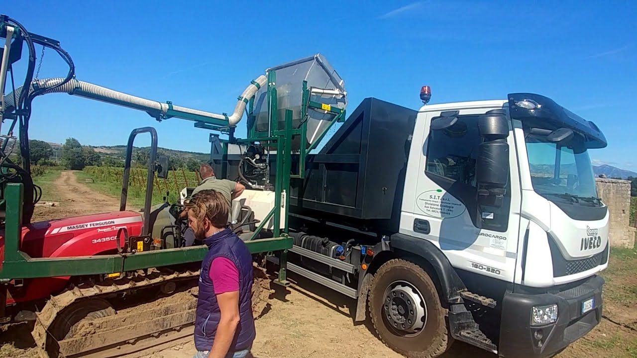 Vendemmiatrice CRF VP10   Telese 2021 scarico in testata