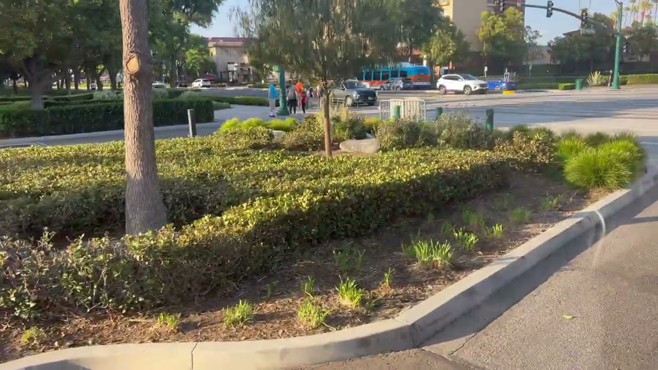 ART Anaheim: Bus ??? Route 20 Toy Store Line Ride Northbound Part 1