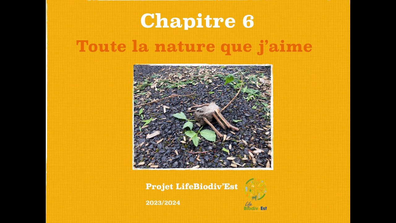 Chapitre 6 Une année LIFE BIODIV'EST