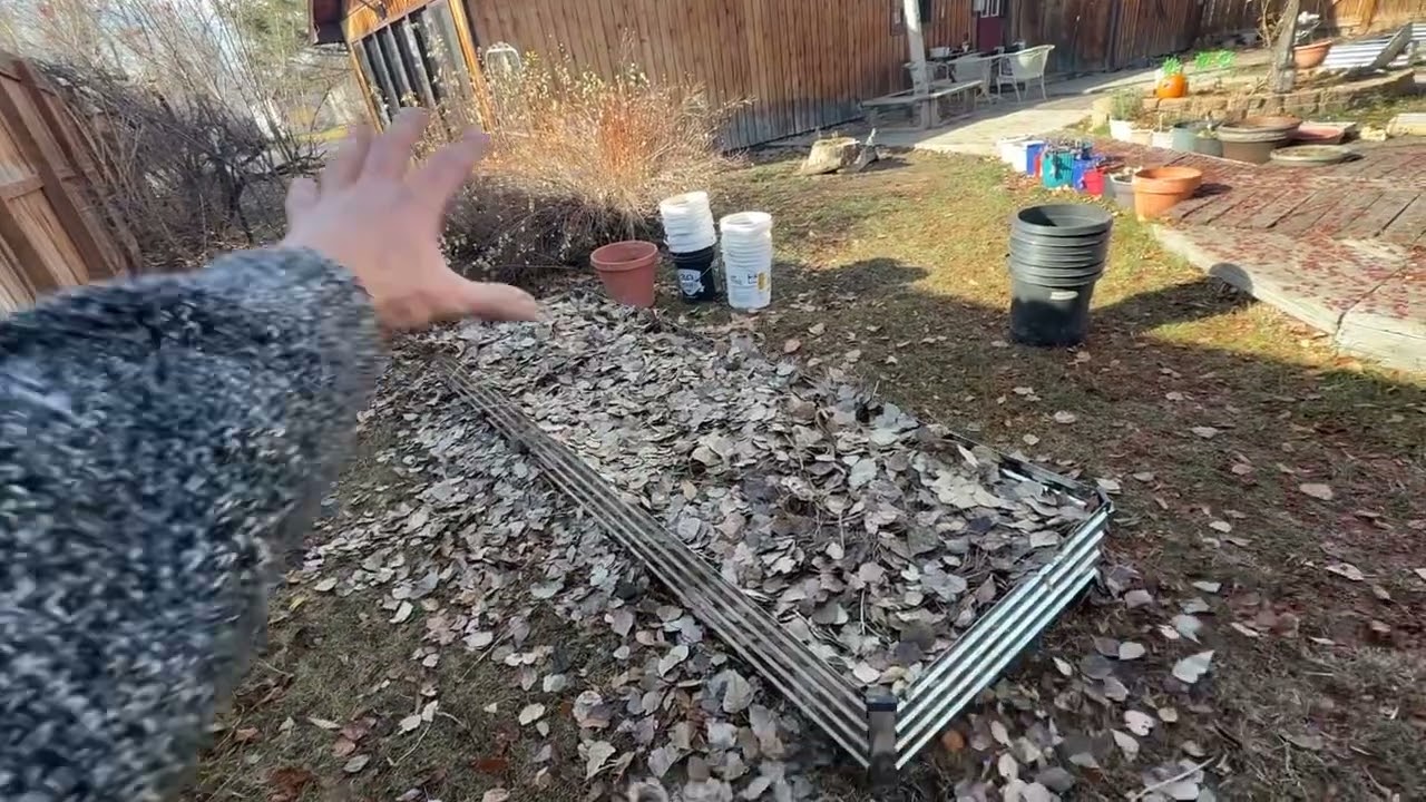 Juste à temps avant la neige