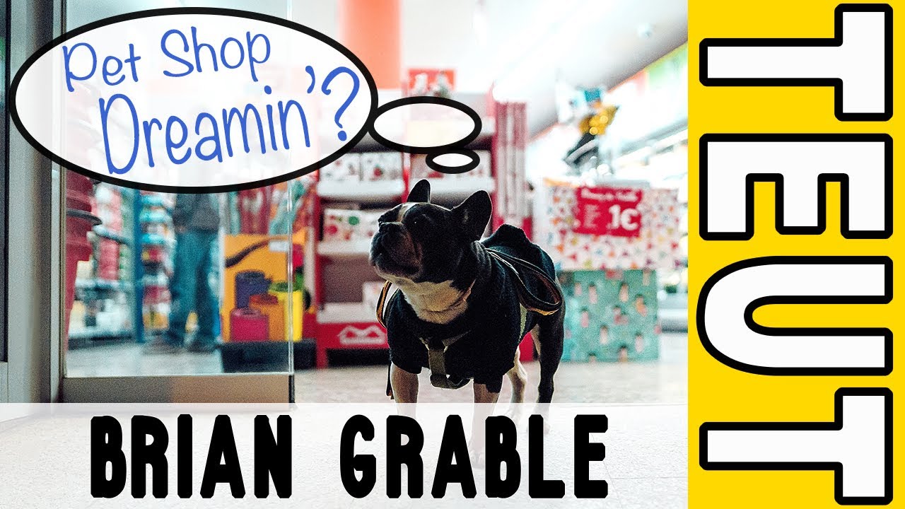 Want to Open you own Pet Store? [What you Should Know]