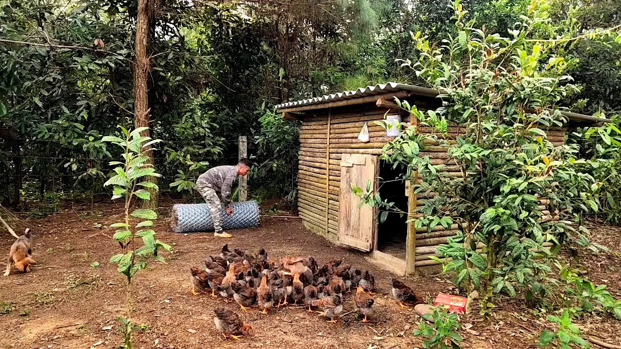 life in the hills. chicken cot. dig a hole to store water.rain