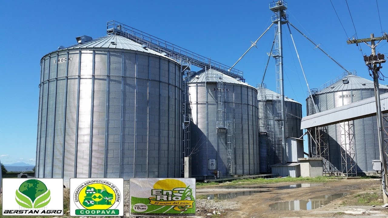 Proceso Industrial del Arroz 