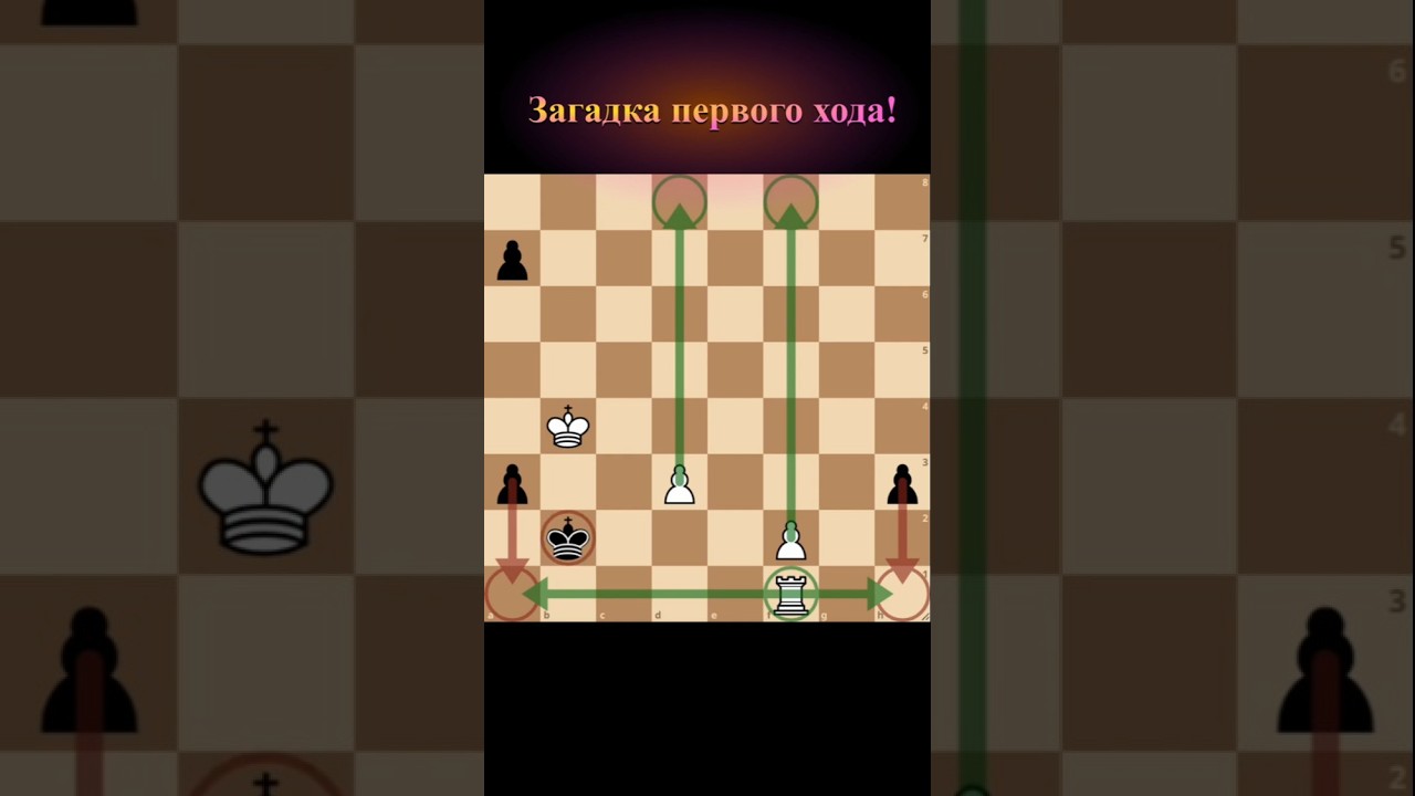 Загадка первого хода! #шахматы #chess #chessendgame #этюд