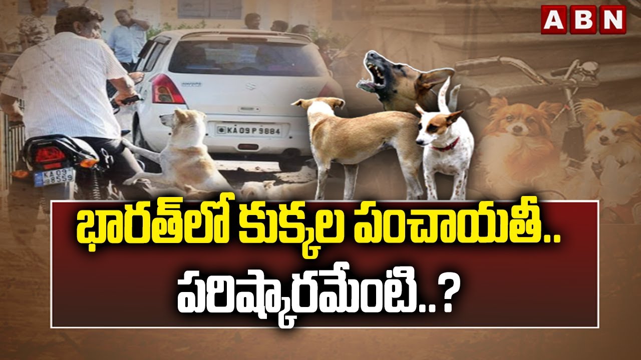 భారత్ లో కుక్కల పంచాయతీ..పరిష్కారమేంటి..? | Stray Dogs Issue In India | ABN Telugu