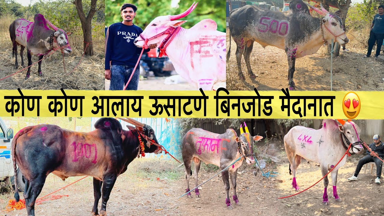 कोण कोण आलाय ऊसाटणे बिनजोड मैदानात 😍