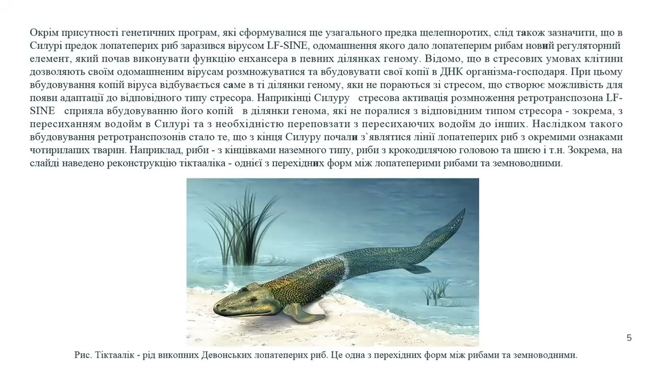 Наземна біота Девонського періоду (416 - 359 млн.р.т.).