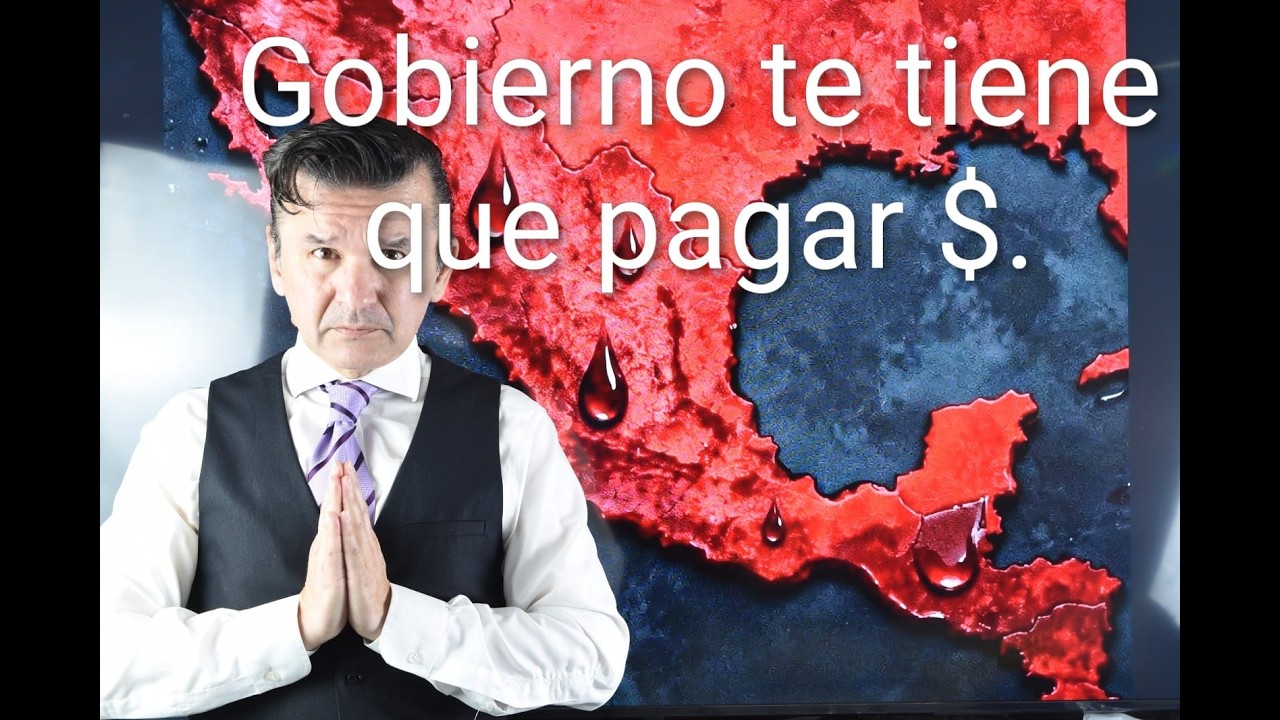 Responsabilidad legal y económica de la situacion Mexicana
