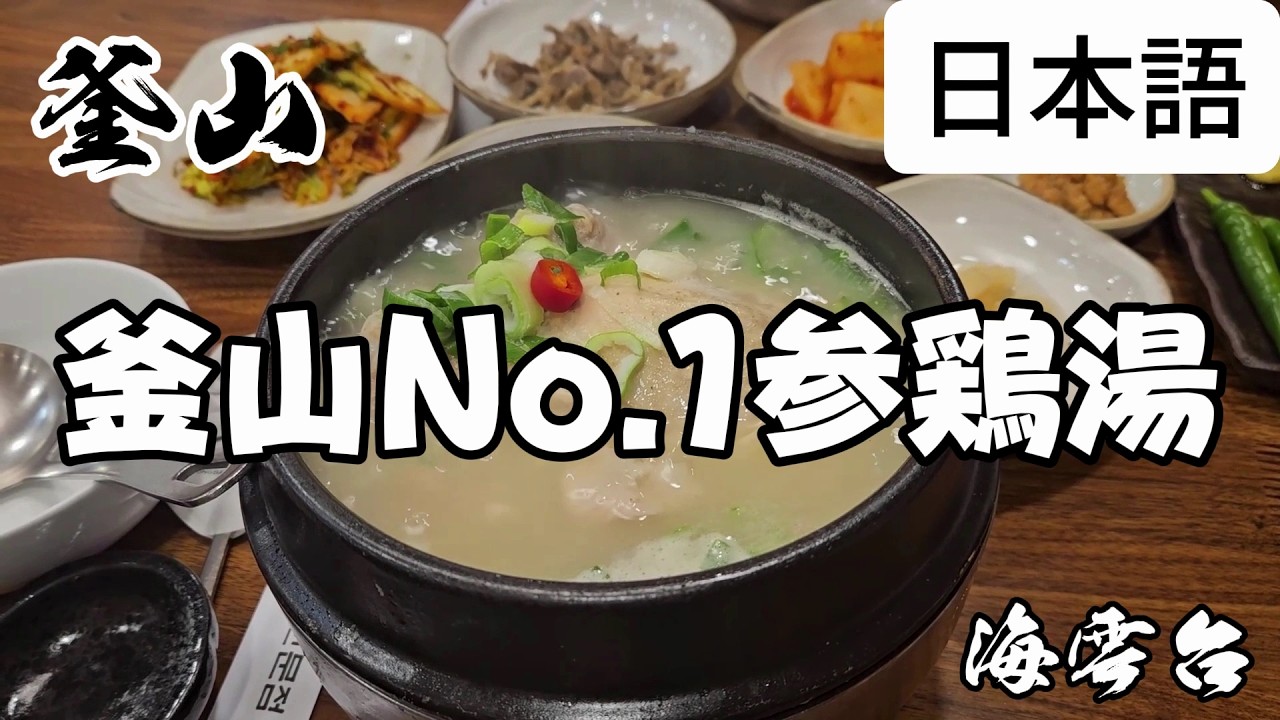 サンゲタンがめちゃめちゃうまいお店！#ジェイミーのグルメ #韓国グルメ #釜山グルメ #プサングルメ #釜山旅行 #プサン旅行 #サムゲタン #ヘウンデグルメ #ツバキサムゲタン #ヘウンデサムゲタン