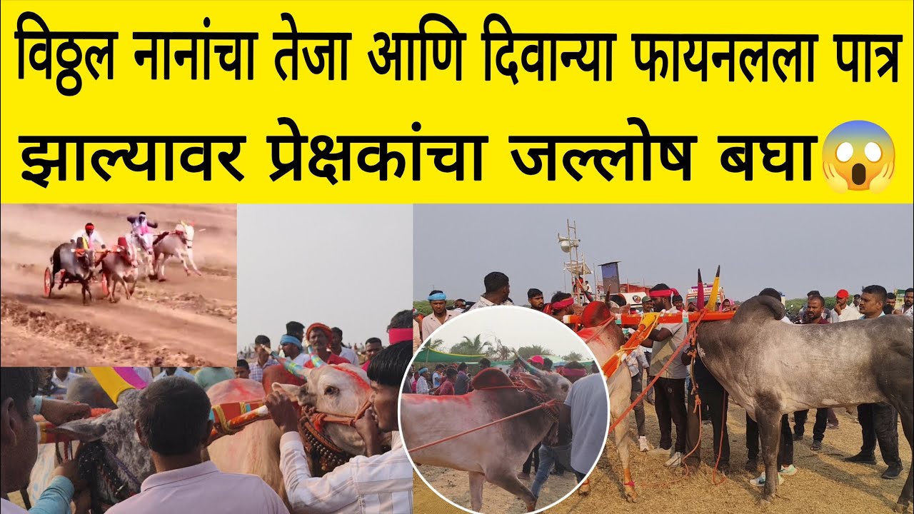 विठ्ठल नानांचा तेजा आणि दिवान्या घरचा साज फायनल साठी पात्र झाल्यावर प्रेक्षकांची गर्दी बघा 😱