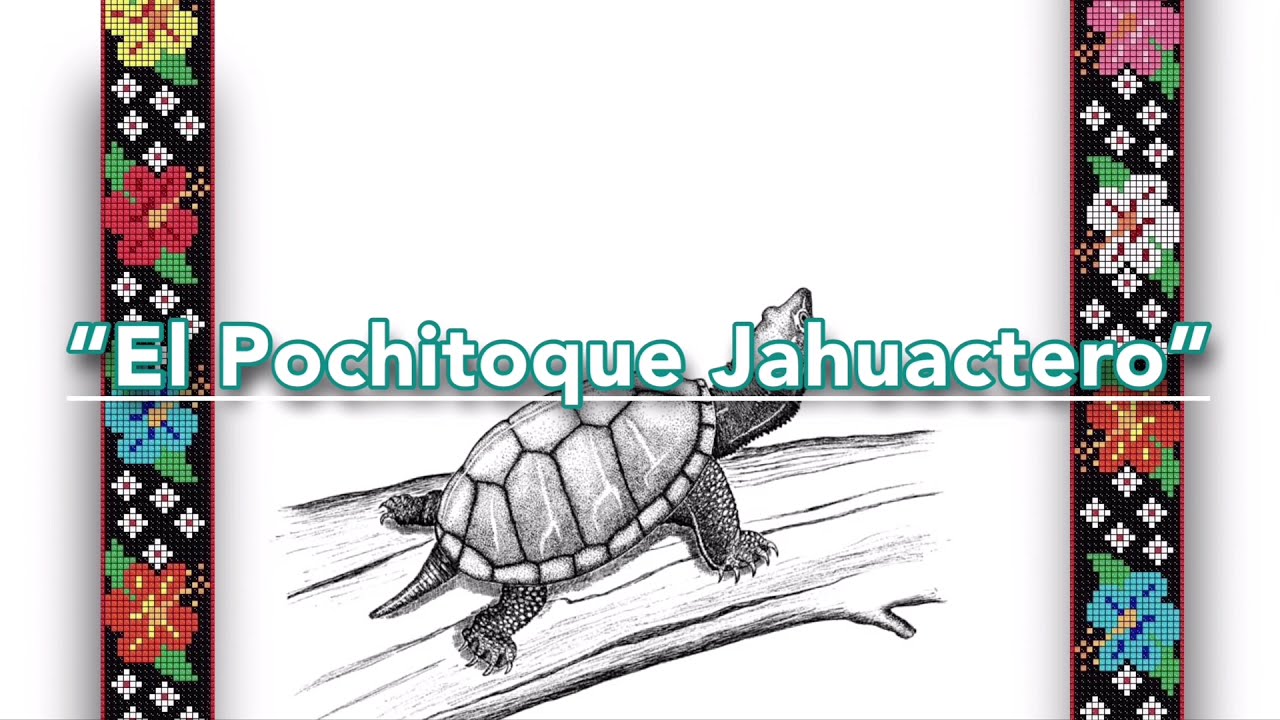 El Pochitoque Jahuactero - Orquesta Así es Tabasco