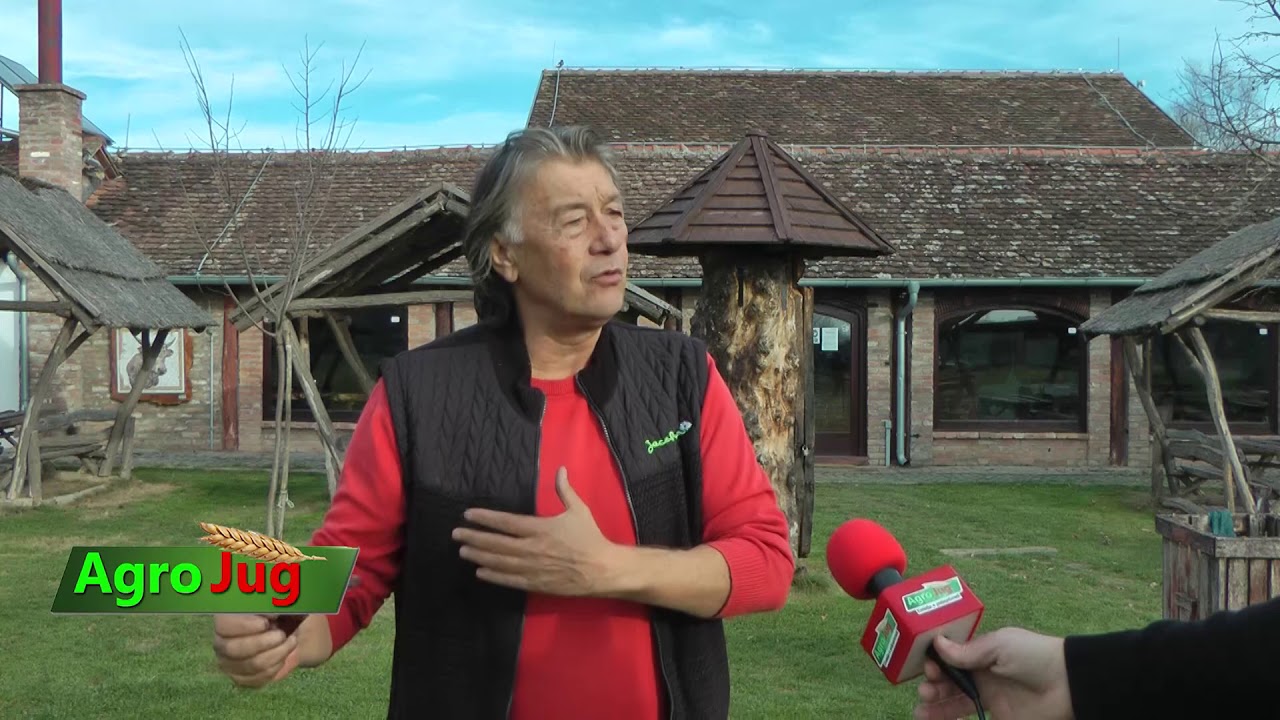 Slobodan Simić upravnik Rezervata prirode Zasavica: Održan kontinuitet manifestacije Dan mangulice