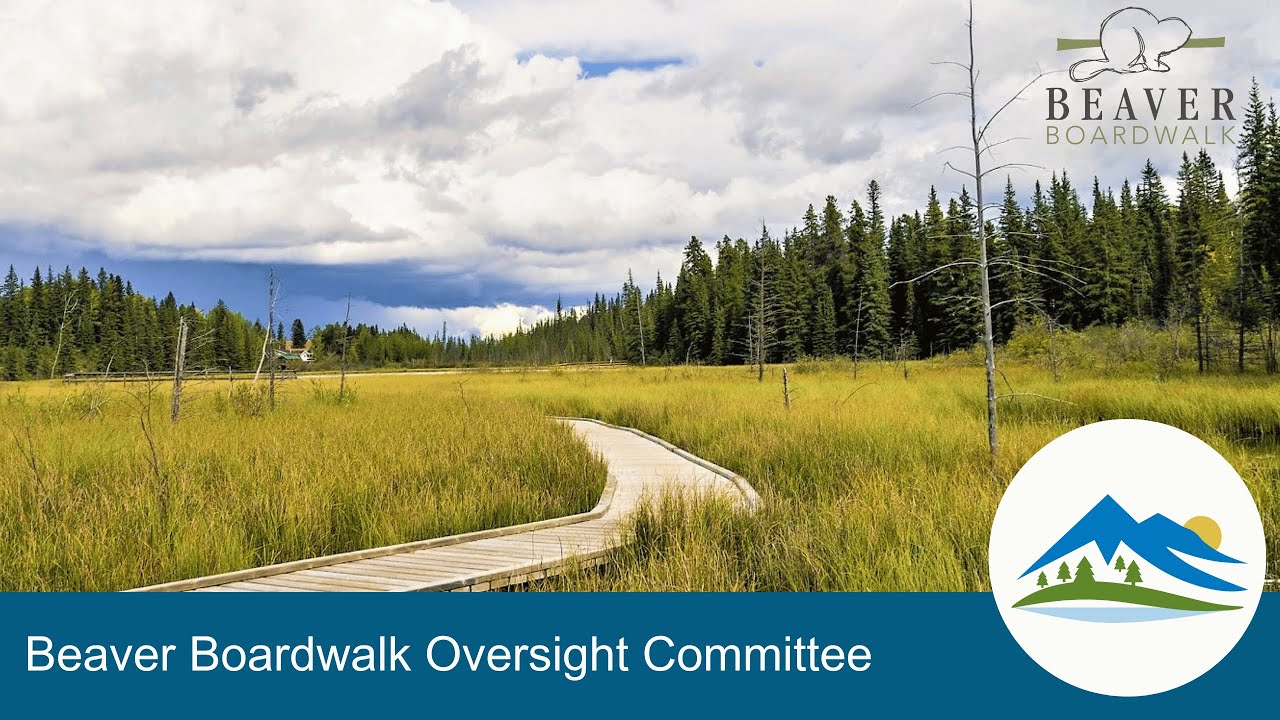 Town of Hinton Beaver Boardwalk Oversight Committee Meeting - June 3, 2025.