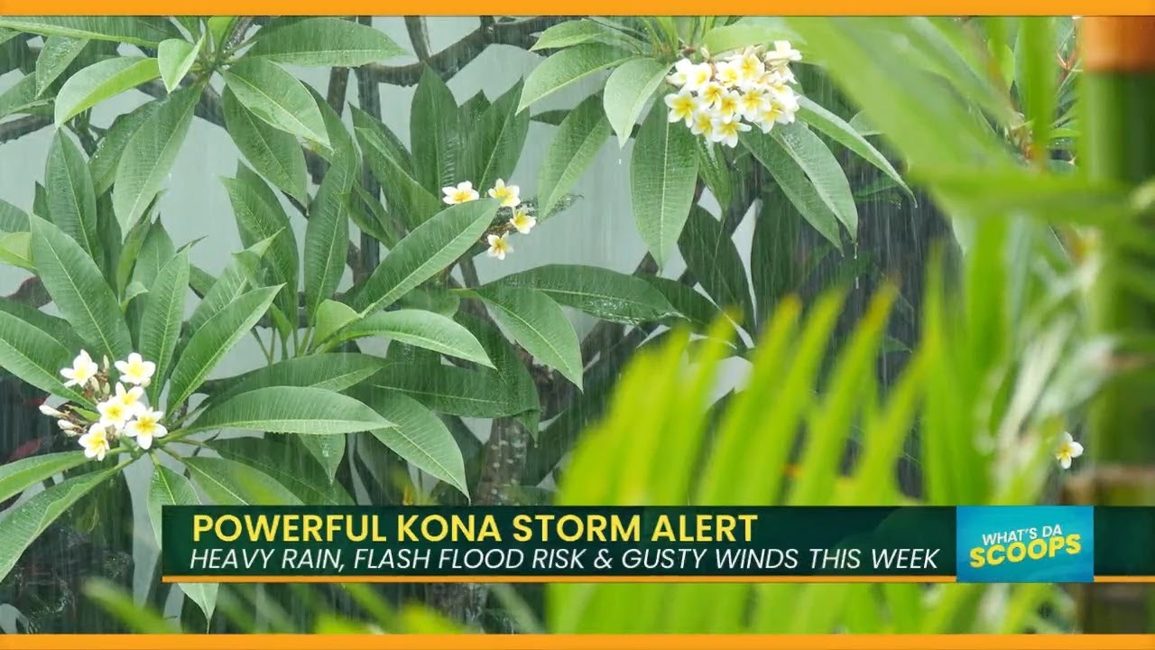 Gusty Winds and Heavy Rains Return to Hawaiʻi