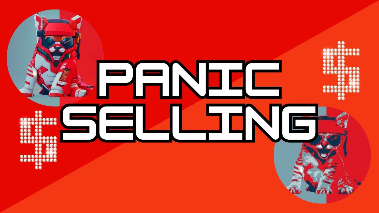 ROARING KITTY CTO PANIC SELLING
